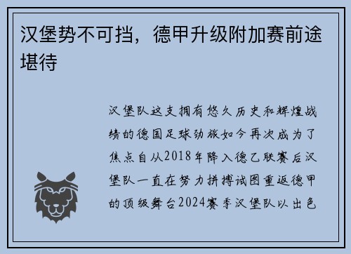 汉堡势不可挡，德甲升级附加赛前途堪待